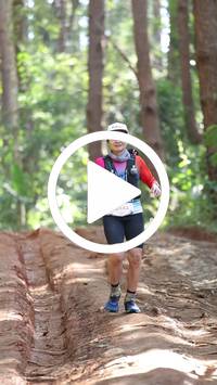 BIB:  <button type="button" onclick="openModal(26569574)" class="btn btn-primary btn-sm float-right" data-toggle="modal" data-target=".modal-high-quality">
                <i class="fa fa-download"></i> Download
                </button>